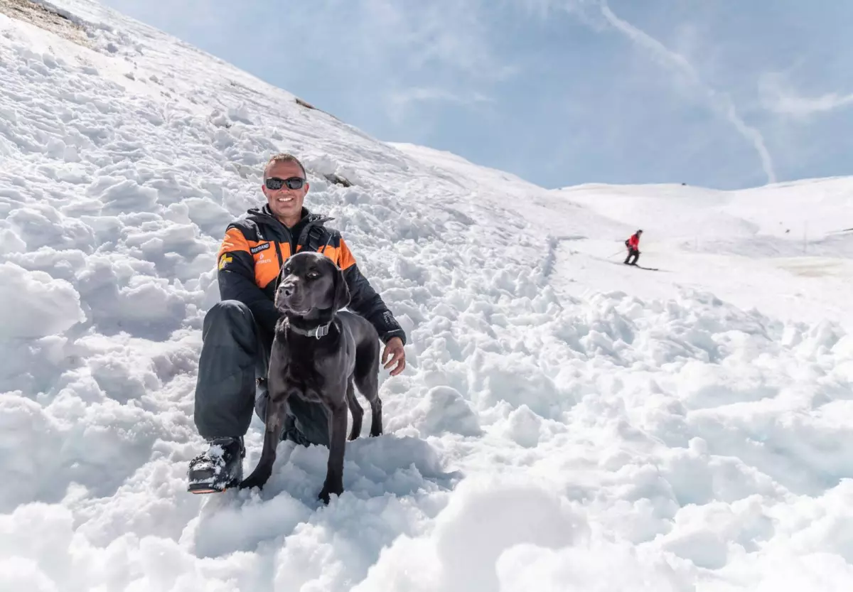 Maitre chien pisteur