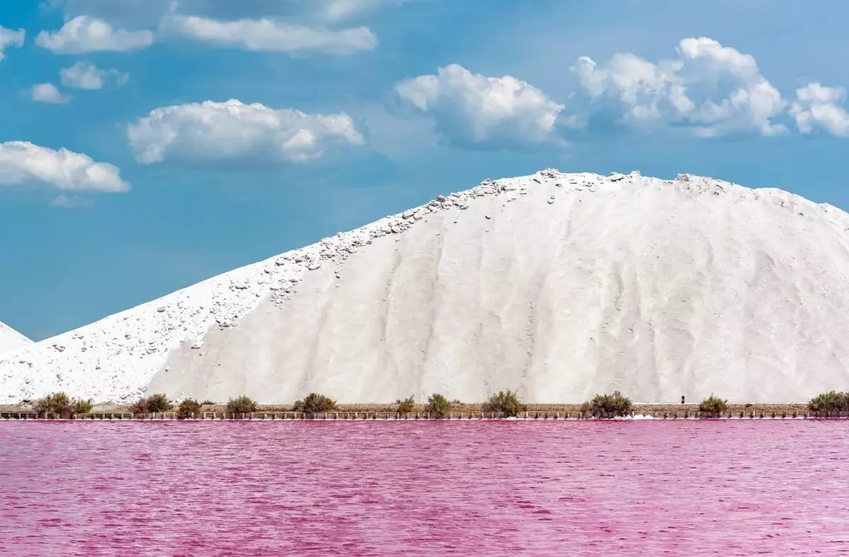 Visites de la récolte du sel - Salin d'Aigues-Mortes