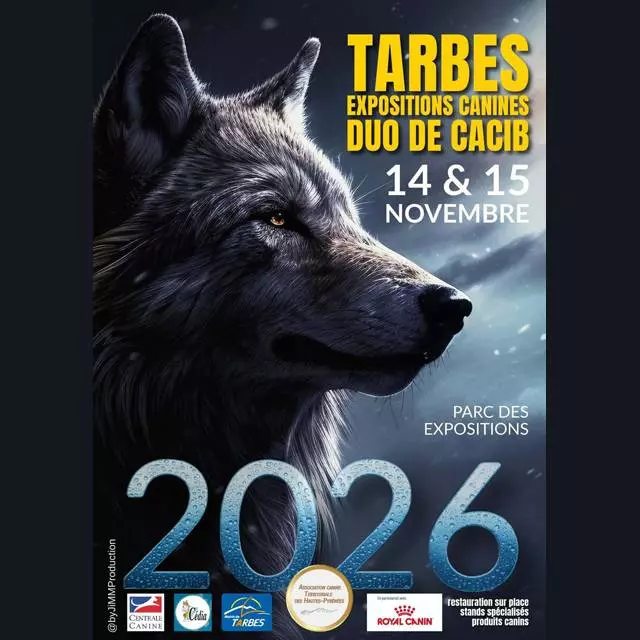 Expositions canines - Double CACIB