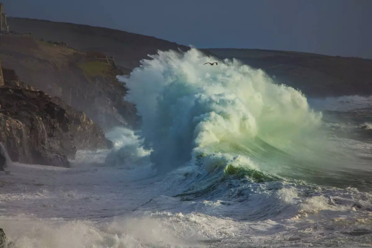 Conférence - Les vagues scélérates : Quand les " monstres des mers " deviennent réalité