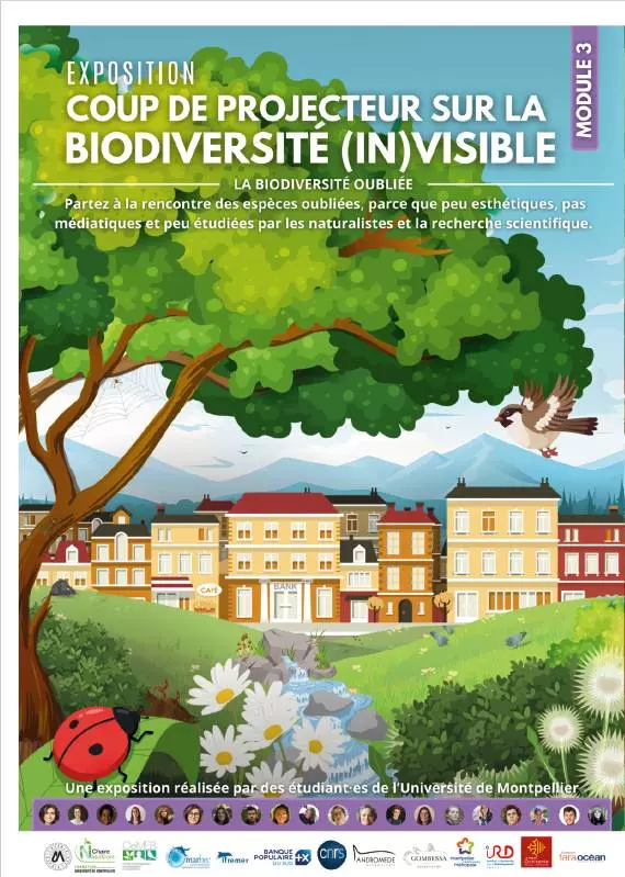 Biodiversité (In)visible