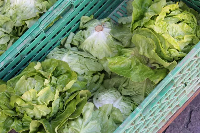 Voyage au Coeur de l'Alimentation