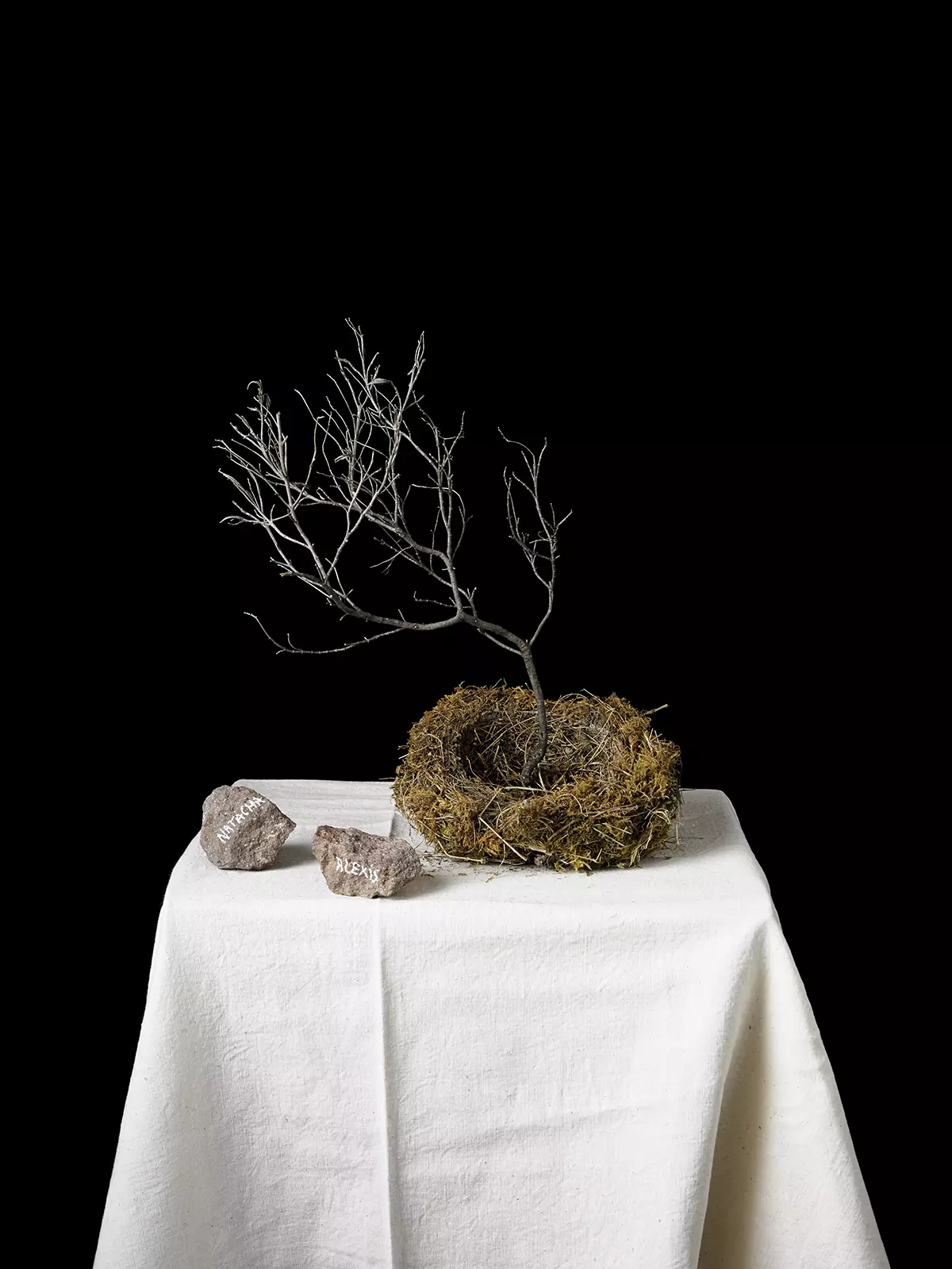 Sous les cendres de l'histoire - Exposition et ouverture de l'atelier de Natacha Nikouline, ça continue !