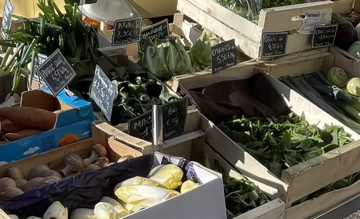 Marché de St Martin de Valgalgues