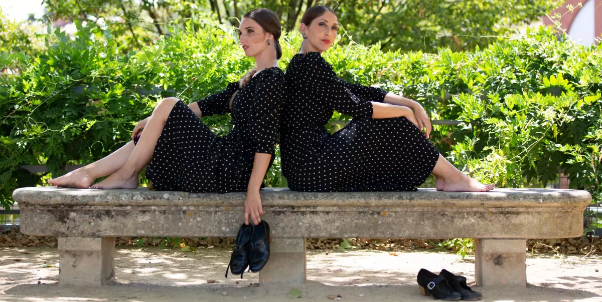 Cuadro Flamenco • Cie Ls'arte- Association Lunares
