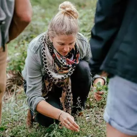 Atelier cuisine de plantes sauvages comestibles et accord mets & vins