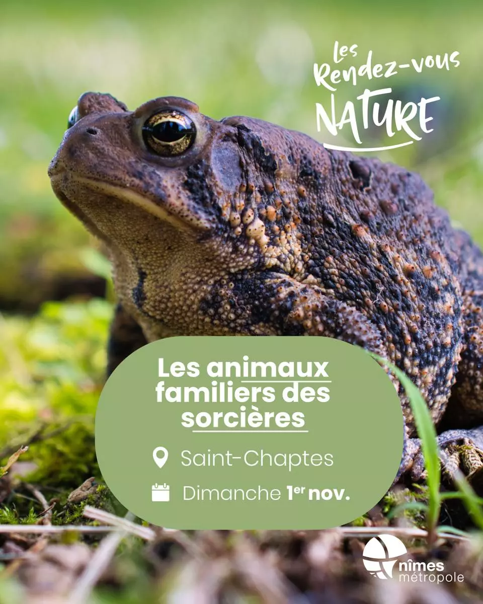 Rendez-vous Nature - Animations et balades gratuites à Saint-Chaptes