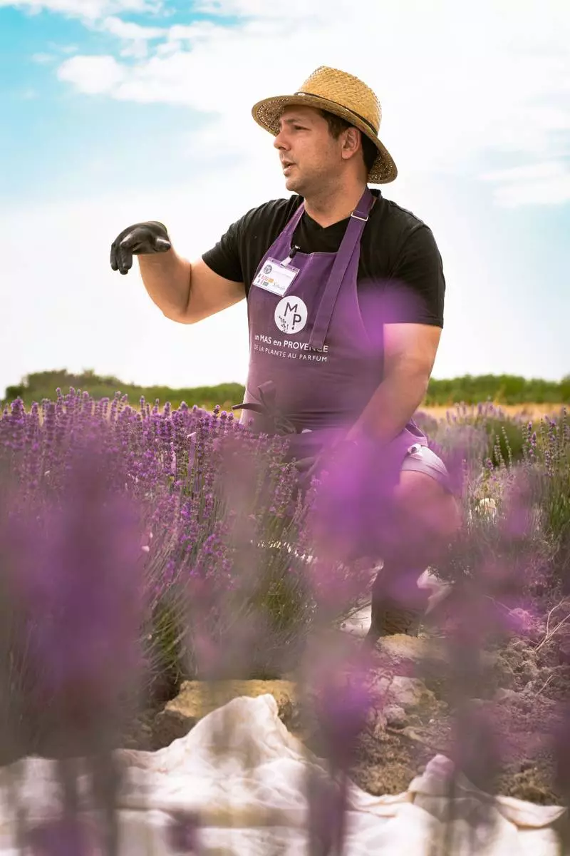 Visites guidées d'une distillerie artisanale en Provence