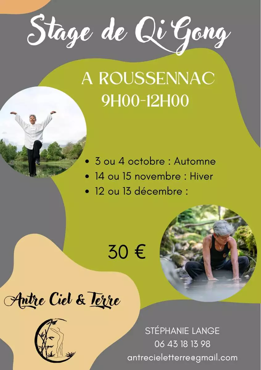 Stage de Qi gong