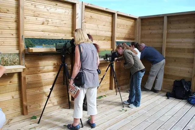 Observation des oiseaux au lac de Puydarrieux
