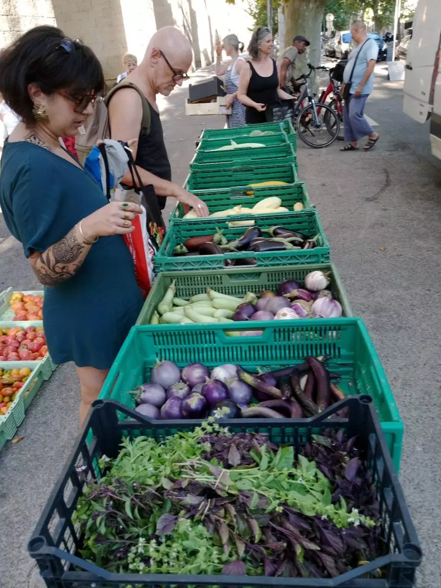 Apéro-découverte d’une AMAP, un mode de consommation convivial et engagé