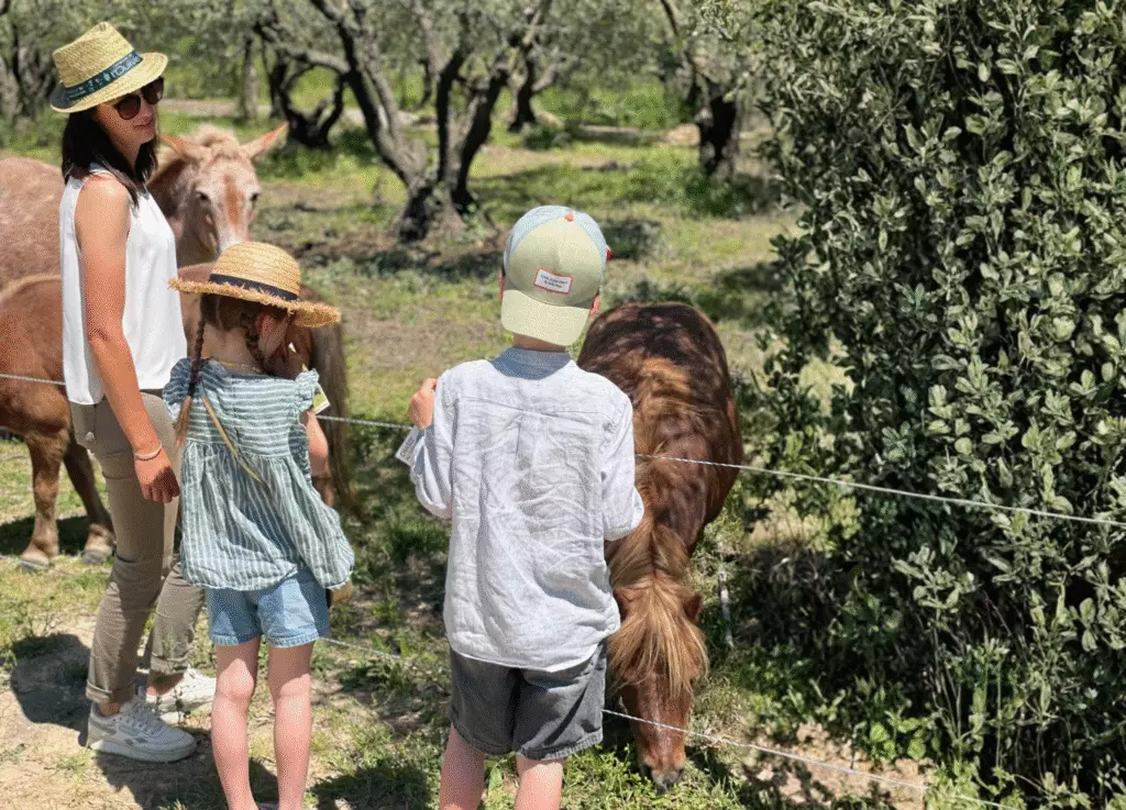 Visite guidée - Sur le sentier de Bebelle