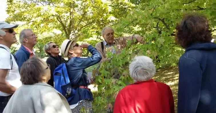 Découverte de Lamalou : Les Arbres Ont une Histoire