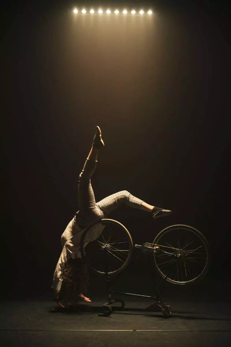 Cirque - La bête noire / Petite reine