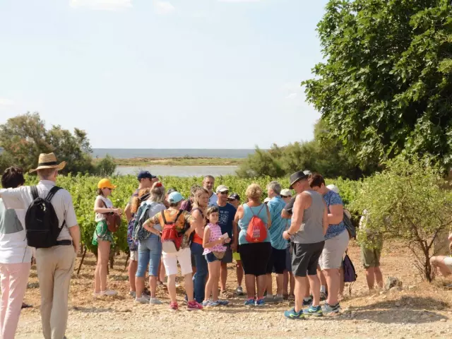 Balade Vigneronne