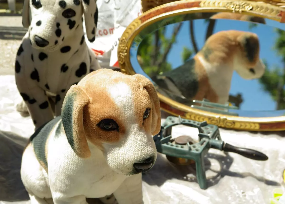 Anduze brocante