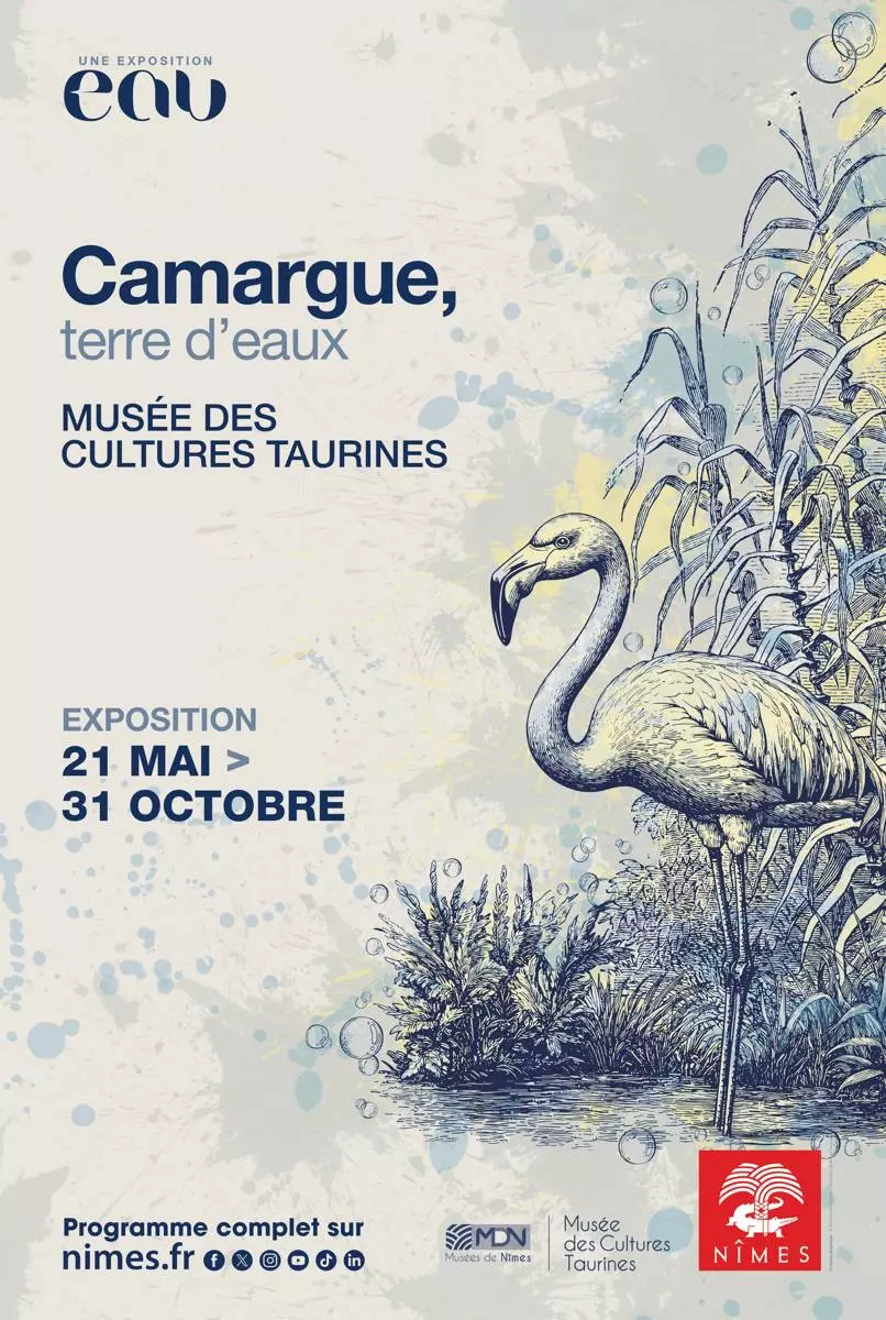Exposition : Camargue, terre d'eaux