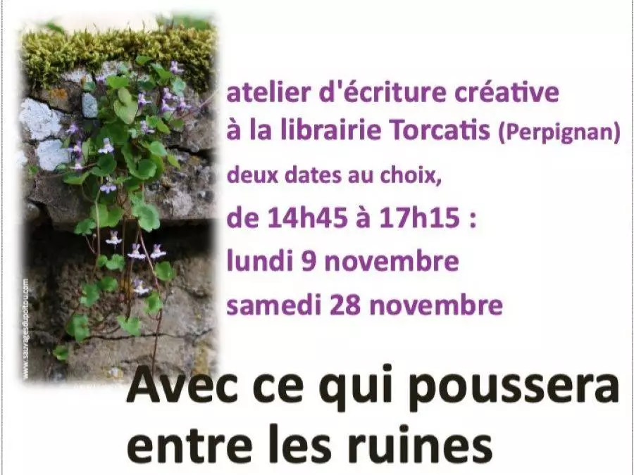 "Avec CE Qui Poussera Entre les Ruines"