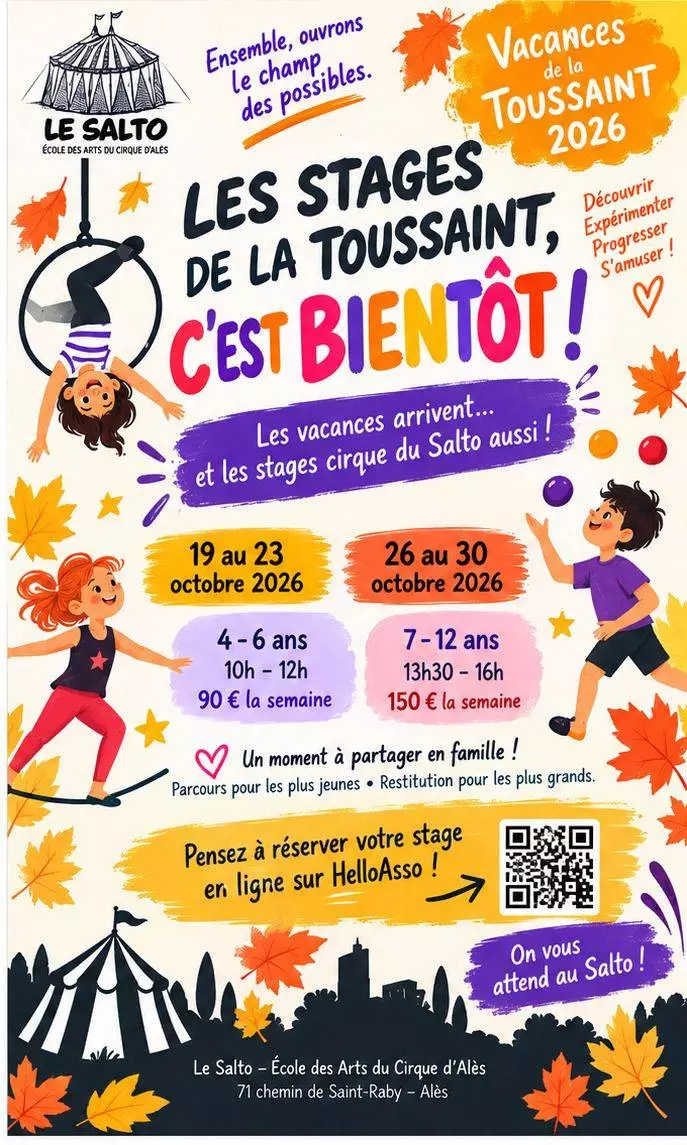 Stage - Les vacances de la Toussaint au Salto !