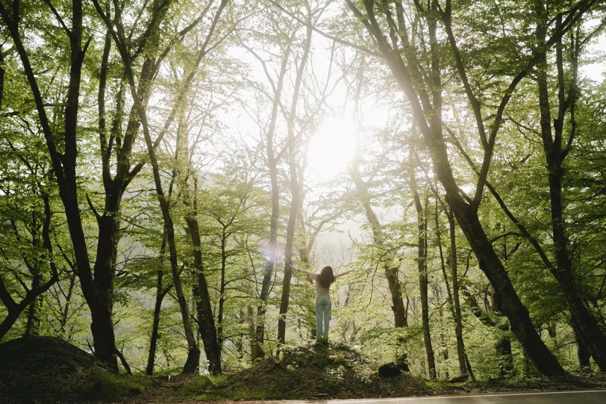 Bain de forêt