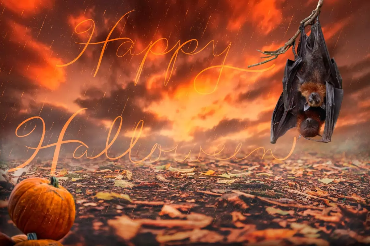 Veillée Halloween