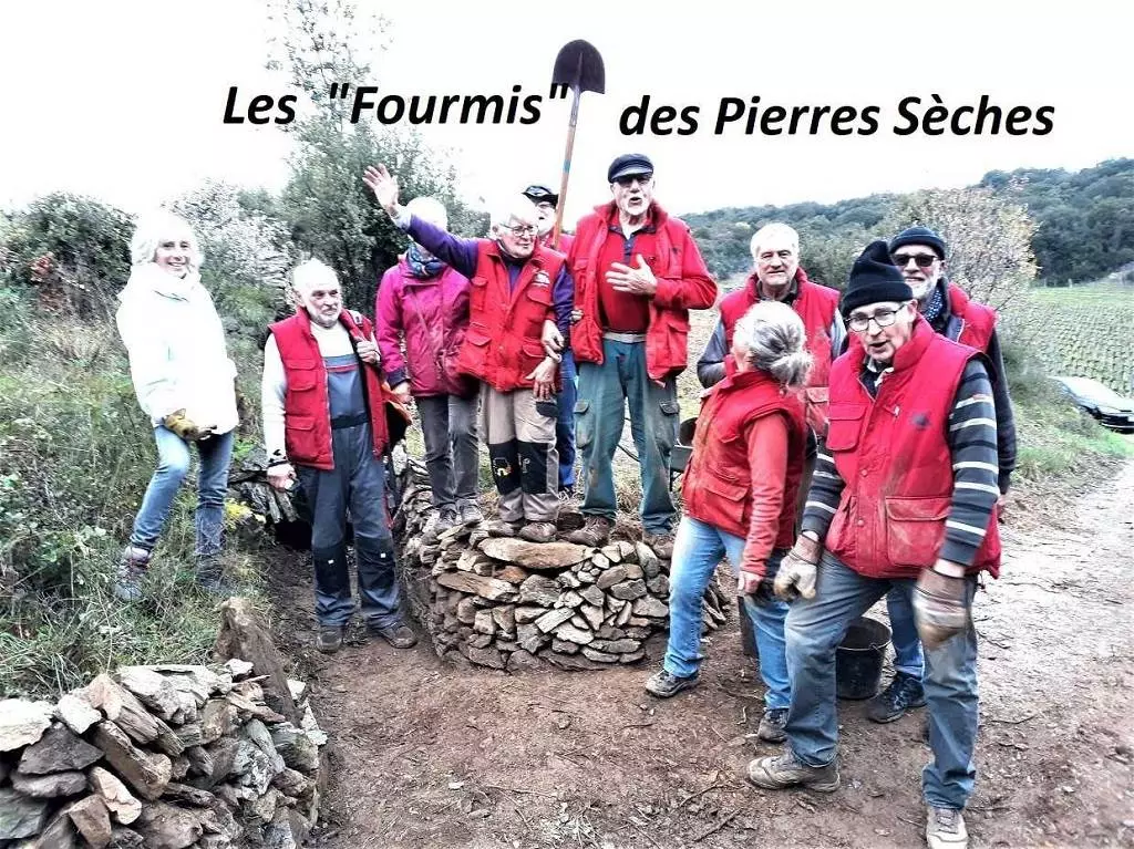 Fourmis du Mardi