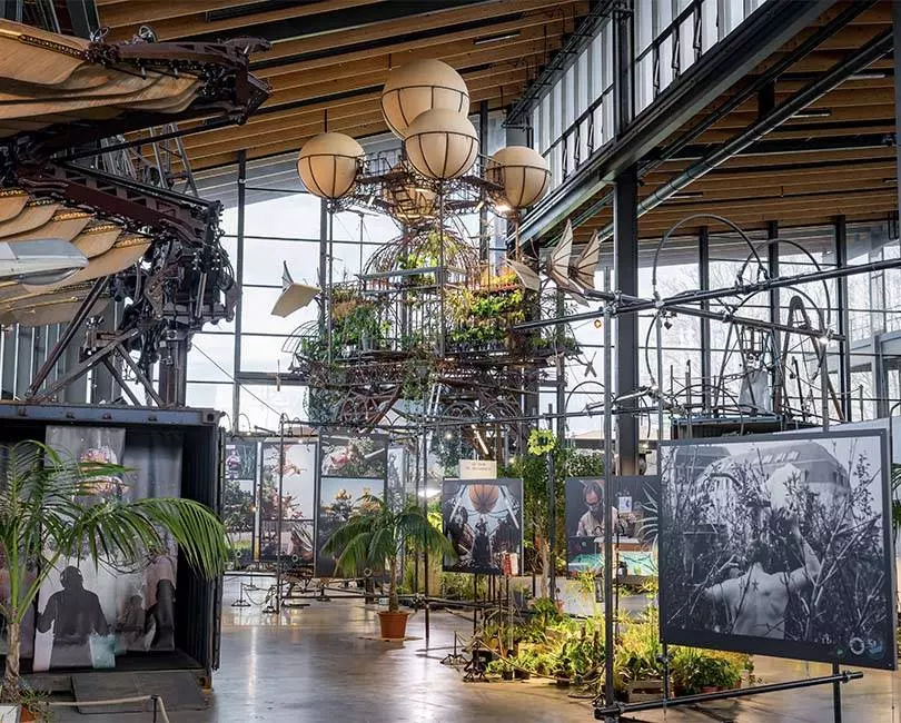 Les Voyages de l'Aéroflorale II