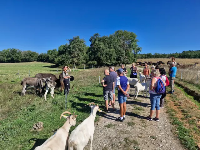 Voyage de Découverte de l'Écotourisme en Haute Vallée de l'Aude