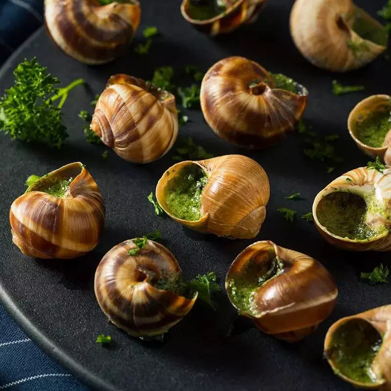 Matinée escargots à Laissac