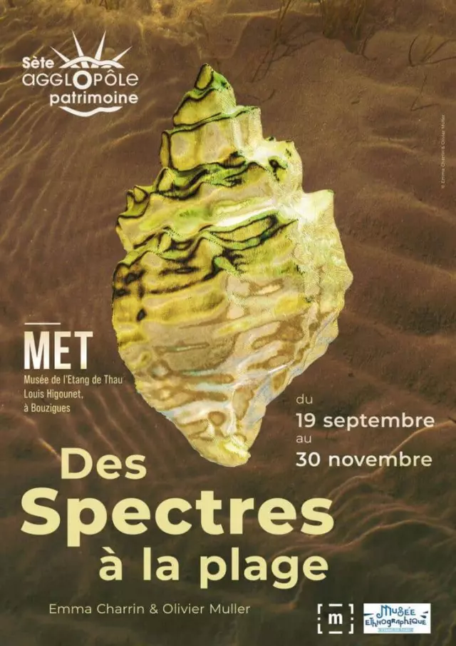 Exposition : Des Spectres à la Plage