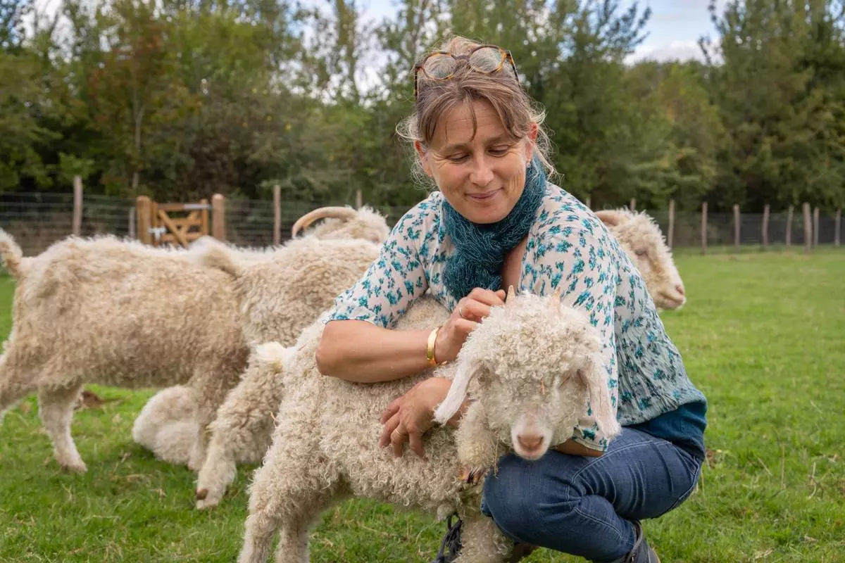 En coulisse , à la découverte du Mohair " Secret de douceur"