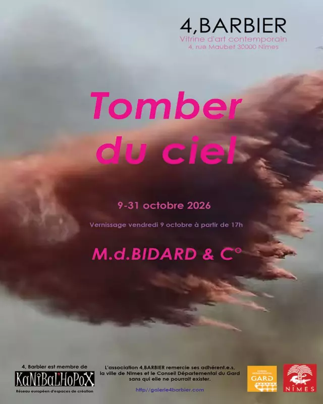Exposition M.d.Bidard & Co - Galerie 4 barbier