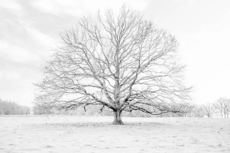 Exposition Photo "Grandeur Nature"