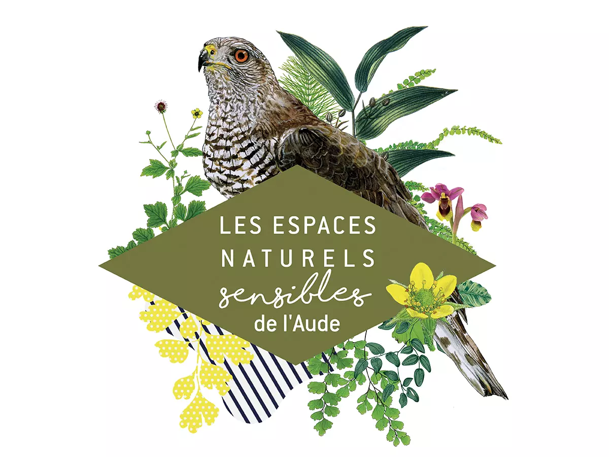 Ens - un An Après Feu : Comment la Biodiversité Se Reconstruit ?
