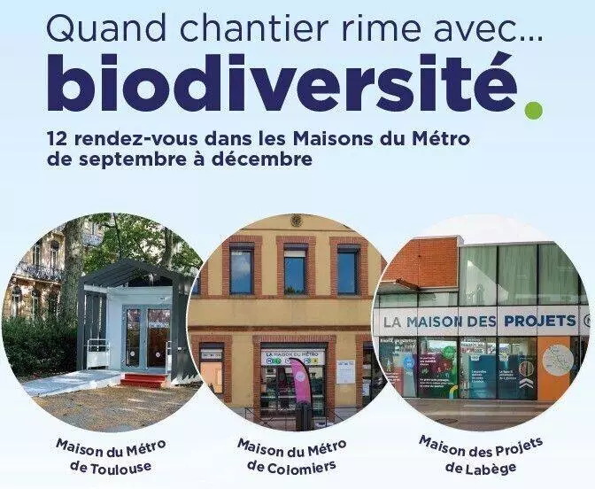 Les Petites Histoires de Monsieur Branche