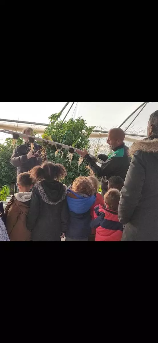 Cultiver sans terre ? Venez visiter Culturôtoits : une ferme en hydroponie !