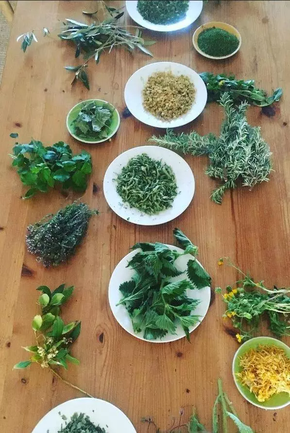 Atelier "Prendre soin de soi avec les plantes : initiation à la fabrication de macérats et d’alcoolatures"