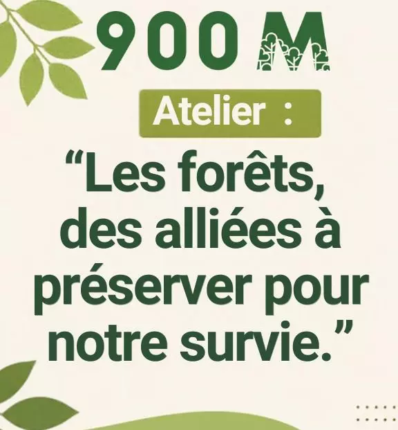 Les forets des alliées à préserver pour notre survie