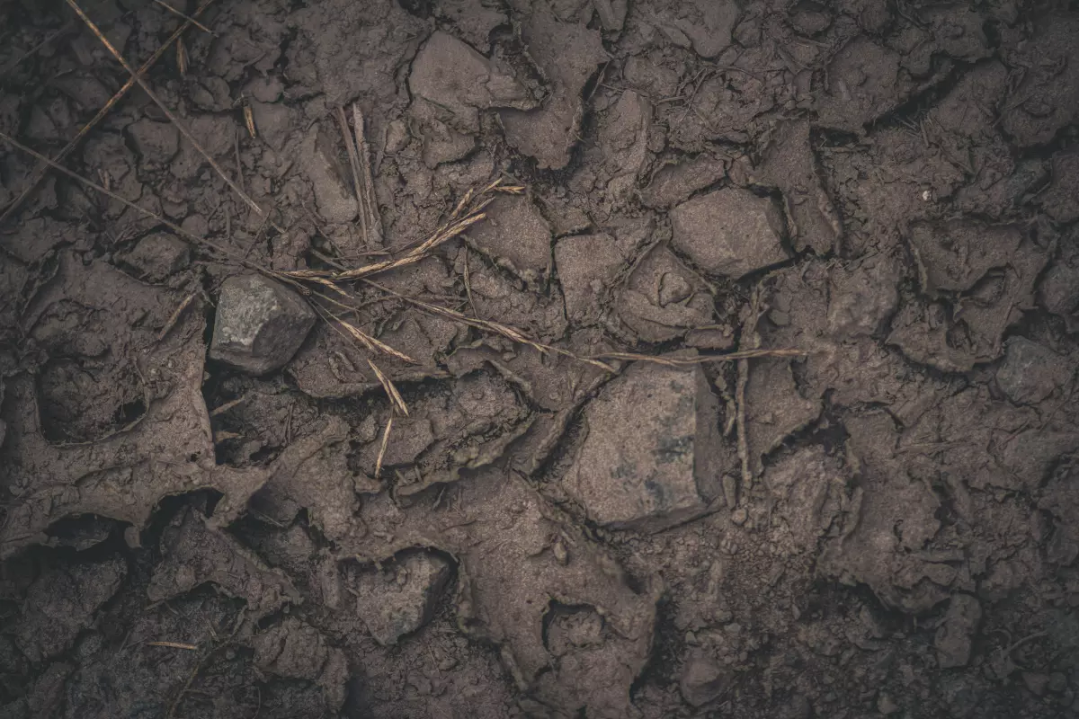 Atelier de découverte de la nature : sous la surface