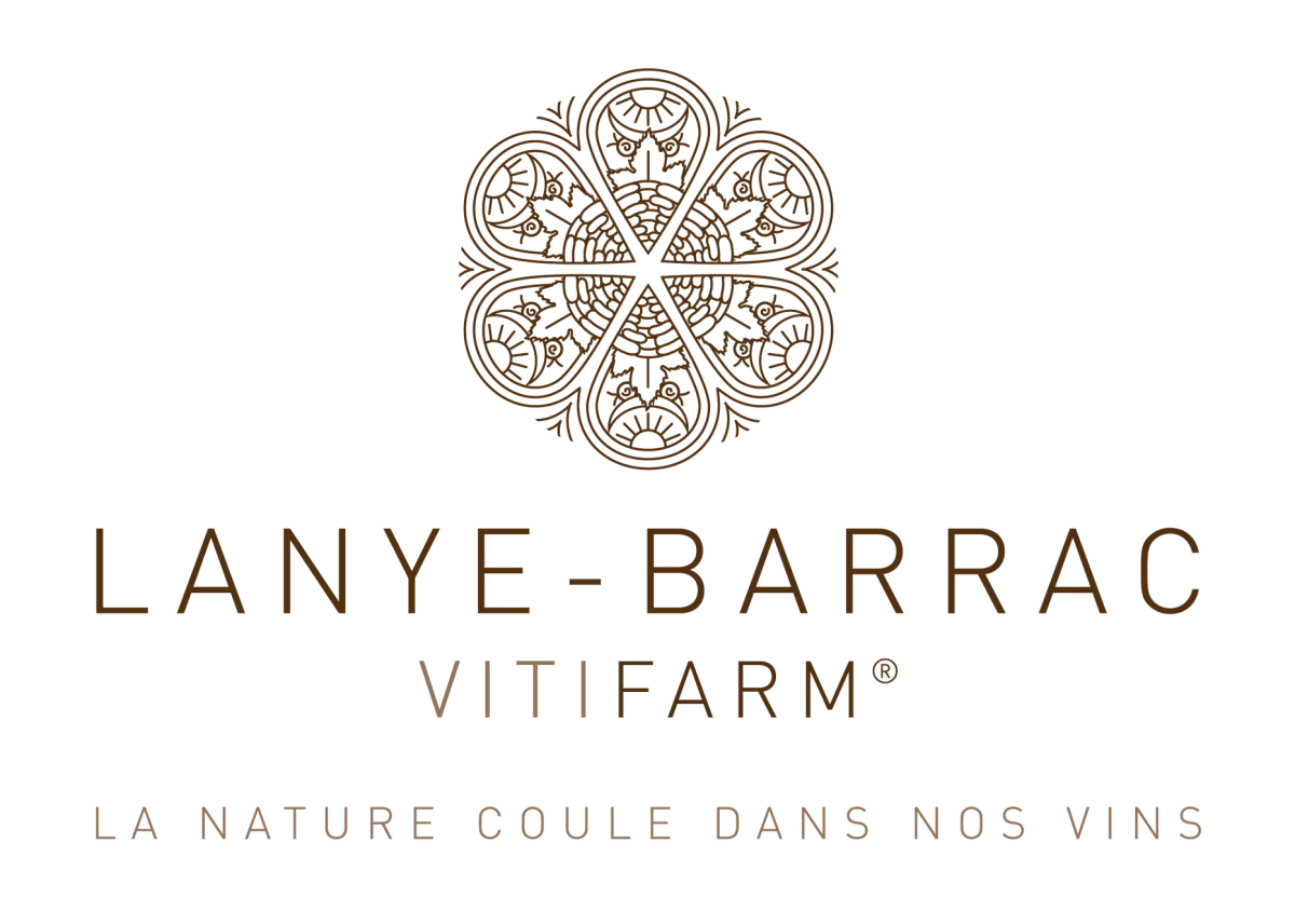 Vitichef : Balade Vigneronne, Dégustation de Vins & Bbq de Viande Angus de la Ferme.
