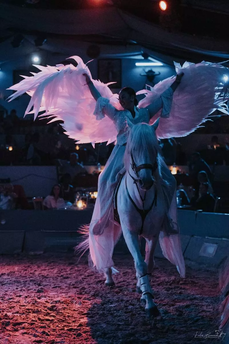 Dîner / Déjeuner spectacle equestre et flamenco