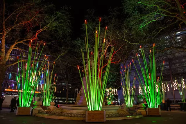 Exposition lumineuse - Herbum Follus & Pampa