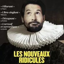 Régis Mailhot - Les Nouveaux Ridicules - Tournée