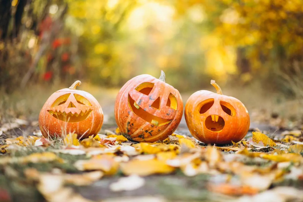 Halloween à La Parenthèse Saint-Esselin