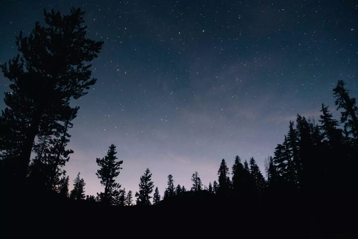 Soirées sous les Étoiles