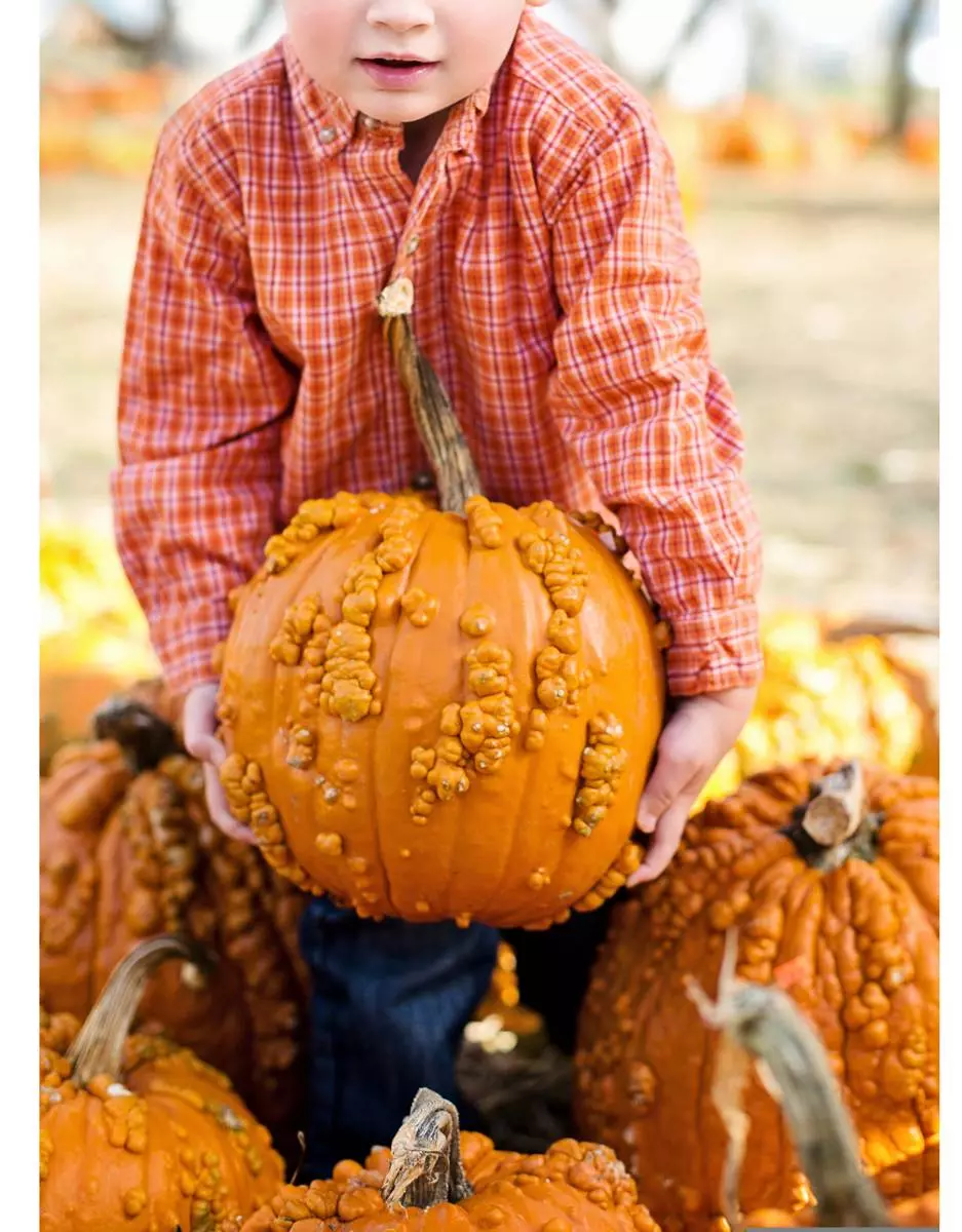 Ateliers des petits curieux : Halloween dans l'assiette