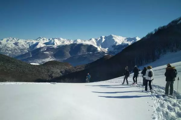 Sortie accompagnée : Randonnée raquettes en val d'Azun
