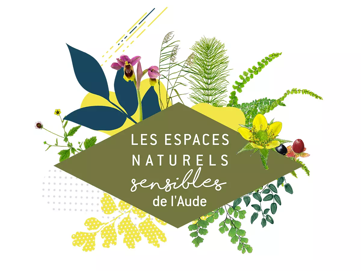 Ens - la Vie Secrète des Arbres : Du Livre à la Balade