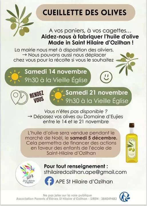 Cueillette des olives