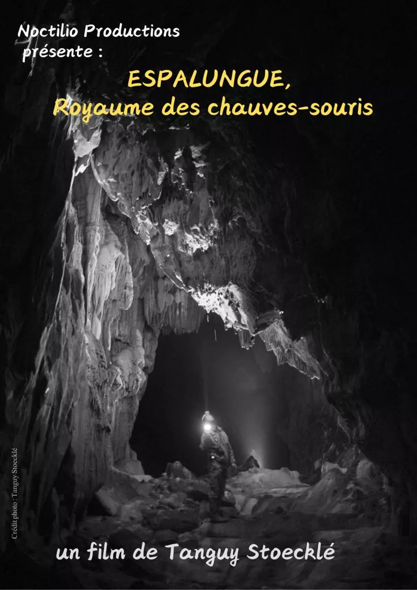 [PROJECTION] Espalungue, le royaume des chauves-souris